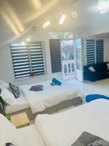 Pensiune Perla Dunarii - Daia