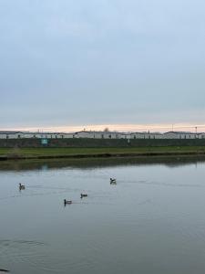 6 berth Waterside Ingoldmells D1 SANTANAVAN 5