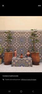 Riad Le Petit Cactus -Familial et Privatif-