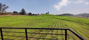 Rose Garden Enclave for Families & Executives