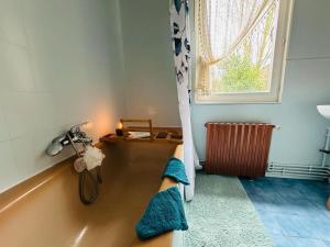 Appartements Maison Cosy & son jardin : photos des chambres