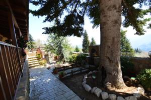 Filiantra Suites Korinthia Greece