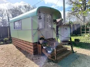 Roulotte insolite La Marivole - Murs