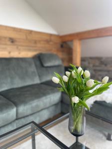 Mellie`s Ferienwohnung Willingen