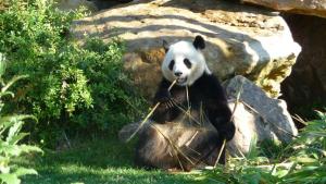ECRIN romantique,7studios,3km du zoo!