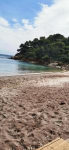 Appartements BELAZUR Entre plage et port : photos des chambres