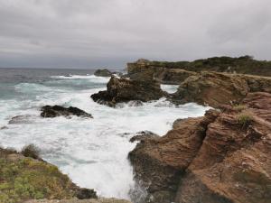 Appartements BELAZUR Entre plage et port : photos des chambres