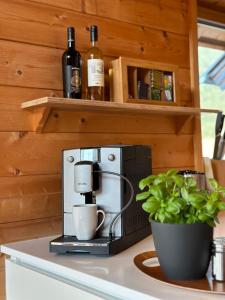 Chalet Bischofsmütze - Direkt an der Skipiste im Skigebiet Dachstein West