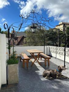 Casa Camilo en San Bernardo