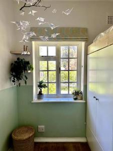 Cape Town family home with lovely garden.