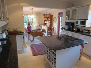 Cape Town family home with lovely garden.