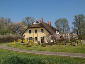 Ferienhaus für 6 Personen ca 84 m in Puddemin, Ostseeküste Deuts