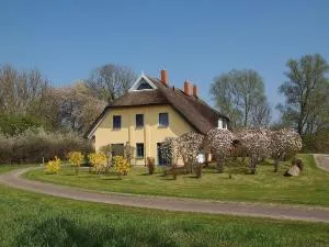 Ferienhaus in idylischer Lage - Schabernack