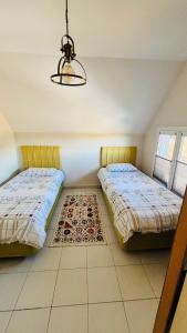 Karaçam & Yedigöller doğa evleri