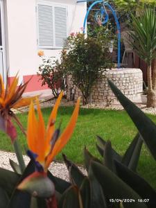 Ranch lau&Ri Nazaré