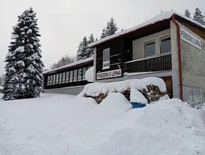 Penzion U Lipna - Přední Výtoň