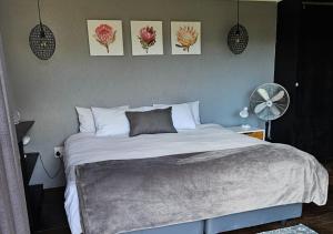 Cloud 9 Estate - Chalet