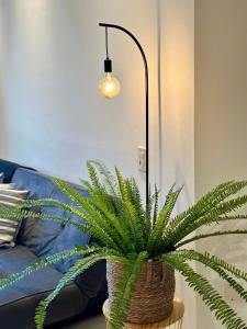 (216) Clean Beach - Perto da praia