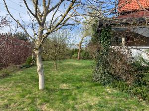 Dom z Ogrodem blisko Trójmiasta i Kaszub