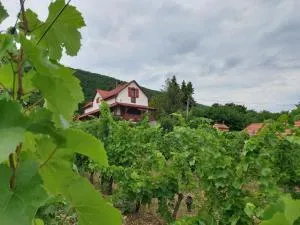 Szőlőcskei Vendégház és Pihenő - Szarvaskő