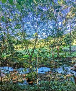 Cabaña Summer-Full Equipada