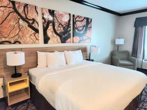 King Room - Non-Smoking room in Siegen Inn