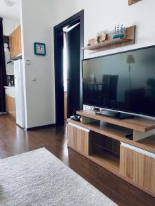 ZENSTAY SUMMERLAND MAMAIA