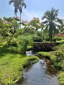 Casa Yami Lodge - Guayabal