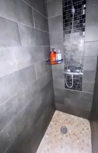 Maisons de vacances Maison avec jardin : photos des chambres