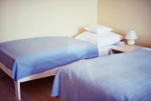 Apartamenty w sercu Chełmna