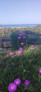 Villa les pieds dans l'eau - 博尔戈