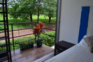 Comfy dog-friendly apt, shared pool - close to Tamarindo