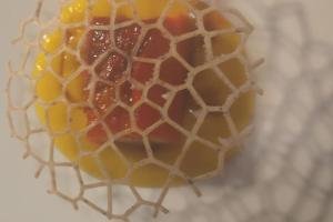 AMPIO APPARTAMENTO MARE CA Domus Collection img3