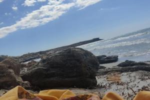 AMPIO APPARTAMENTO MARE CA Domus Collection img15