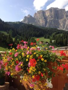 Wellness Hotel Lupo Bianco