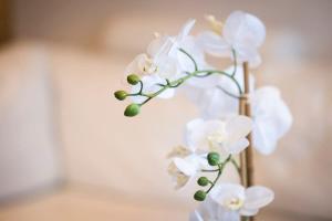 Luxurious Spacious OneBed Apt close to Bondi Beach