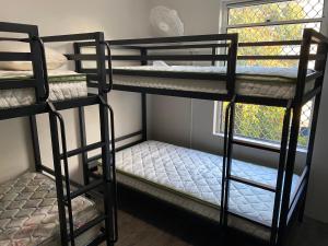 Homely Inn Hostel