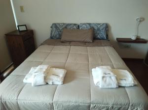 Departamento Centrico con terraza propia