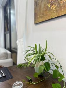 Luxury econest - Apartment with swimming pool & gym