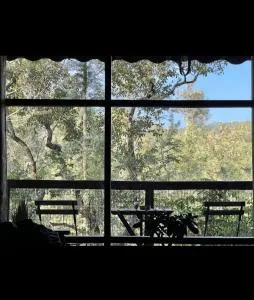 Sereno Chikmagalur - Belagūr