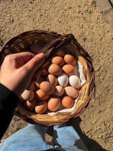 Agriturismo Il Muto di Gallura img62