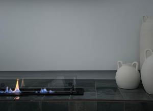 Canaryislandshost l Las Palmeras