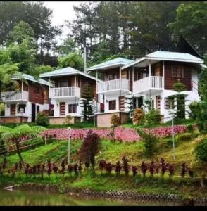 Reel Place - Valencia