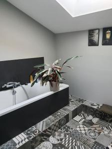 Villas MAISON CONTEMPORAINE a 5KM DE BIARRITZ AVEC JACUZZI : photos des chambres