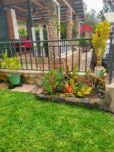 Scenic Edge Restaurant