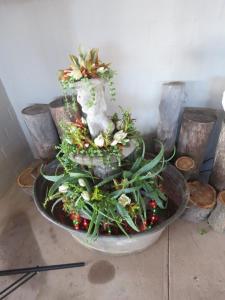 Vensterklip Guest Farm