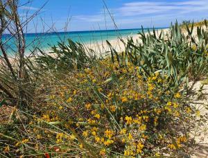 Apartamento de 3 dormitorios