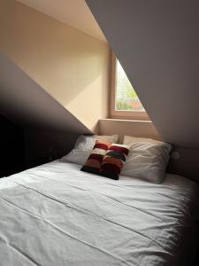 Appartements L’ecrin de Rouen - Relax et Spa : photos des chambres