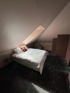 Appartements L’ecrin de Rouen - Relax et Spa : photos des chambres