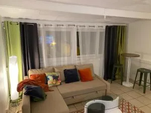 Stade de France 40 mn, Disneyland 40 mn F2 46 m2 calme, quartier cosy, 200m du RER - 罗尼苏布瓦